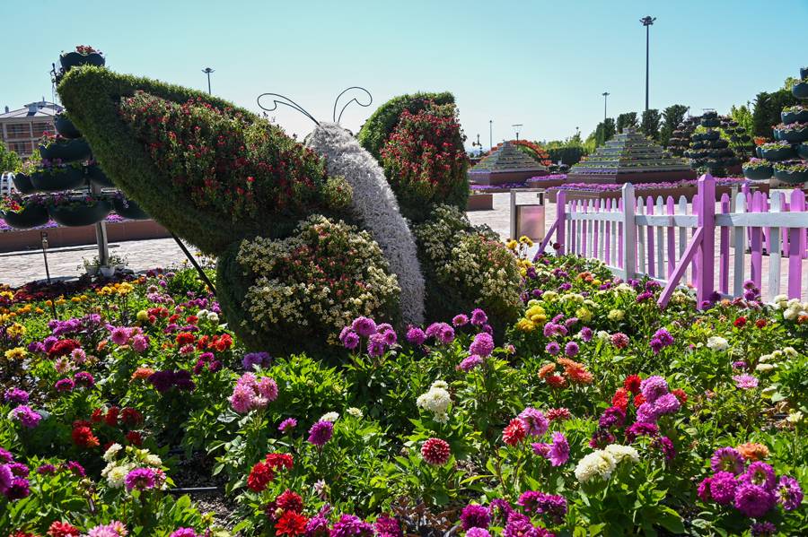 Türkiye'de daha büyüğü yok! Selçuklu Çiçek Bahçesi yeniden kapılarını açtı 9
